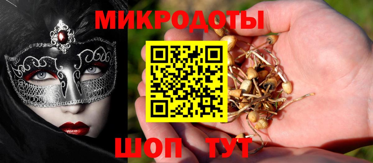 цена   Псилоцибиновые грибы Psilocybine cubensis  Вход с VPN  Бугульма 