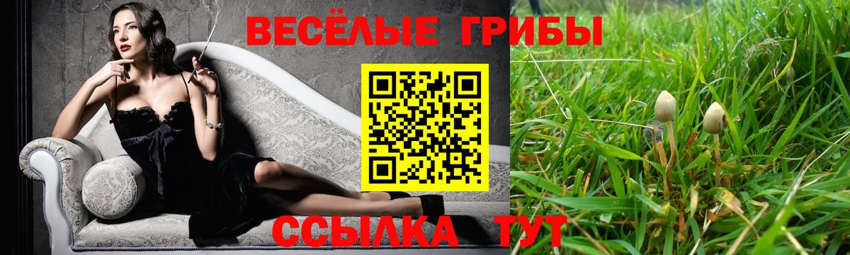 Галлюциногенные грибы ЛСД Бугульма
